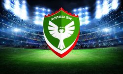 Amedspor ve Kocaelispor’a tribün olayları cezası! taraftarlara yasak geldi