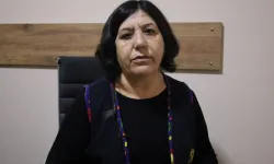 Feray Mertoğlu: Barış için herkes elini taşın altına koymalı