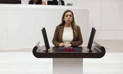 Saliha Aydeniz: Kürt halkı, dili için büyük bedeller ödüyor