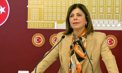 Meral Danış Beştaş: Kürt meselesi tehditlerle çözülmez, fikirler lazım