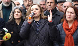 Ayşegül Doğan: Van’da başlayan kayyım tehlikesi İstanbul ve Ankara’ya sıçrayabilir