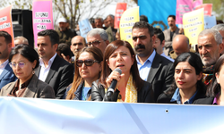Diyarbakır Büyükşehir Belediyesi, Su kaynaklarını koruma için adım attı