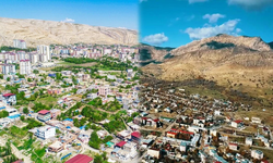 Diyarbakır’ın Yerel Güçleri: Silvan Mirleri ve Lice Beylerinin Tarihsel Mirası