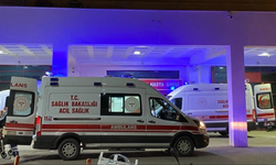 İneğin tepmesi sonucu yaralanan çocuk kurtarılamadı