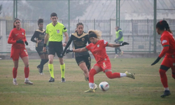 Kadınlar süper ligi: Amedspor, İstanbul'da Fatih Vatanspor'a boyun eğdi