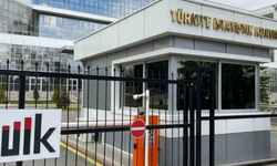 TÜİK şubat 2024 verilerini açıkladı: Ücretli istihdamda sektörel farklılık