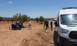 Gaziantep’te zeytin tarlasında şüpheli ölüm