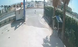 Köpeğe çarpmamak için duran araca 3 araç çarptı