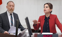 DEM Parti, hasta tutuklular için adalet bakanı ile görüşecek