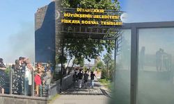 Diyarbakır'da tarihi Fiskaya Şelalesi'nde yangın çıktı