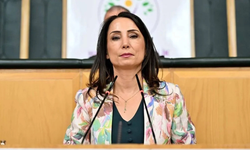 Hatimoğulları: Çözüm süreci yavaş ilerliyor, adım atılmalı