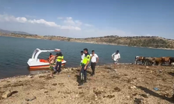 Malabadi Barajı’ndaki cisim ihbarı asılsız çıktı