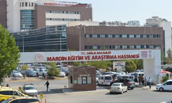 Mardin’de akraba aileler arasında kanlı arazi kavgası