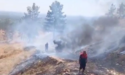Şanlıurfa’da sönmemiş sigara izmariti yangınlara yol açtı