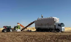 Diyarbakır sıcağında zorlu saman mesaisi