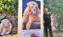Aslan Zeus’un öldürülmesine ilişkin suç duyurusu