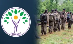 DEM Parti: PKK üyeleri kongre kararları doğrultusunda etkinlik düzenleyecek