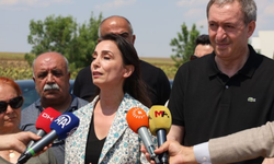 DEM Parti'den Demirtaş'a ziyaret: Katkılarına ihtiyacımız var