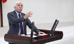 Diyarbakır Milletvekili Cengiz Çandar: “Operasyonlar Türkiye'nin bir polis devleti olduğunu gösteriyor"