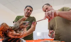 Diyarbakır’da yavru yaban hayvanlarına hayat desteği