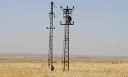 Güneydoğu Anadolu sulama aboneleri için enerji kesintisi kararı