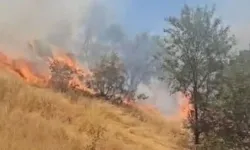 Mardin’de yangın paniği: Müdahale devam ediyor