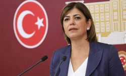 Beştaş: "İşkence suçunu işleyen memurların derhal açığa alınmasını bekliyoruz"