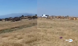 Yangın çıkar diye girişe kapatılan ormanlarda korucular kesim yapıyor