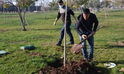 Orman yangınına neden olanlara ağaç dikme cezası verildi