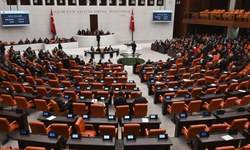 Zeytinliklerin madencilik faaliyetlerine açılmasını öngören kanun teklifi TBMM’de kabul edildi