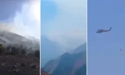 Hakkari'de orman yangını: Yüksekova’da Mücadele Sürüyor