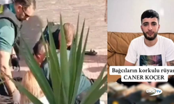 "Daltonlar" çetesinin yöneticisi Caner Koçer, İspanya’da öldürüldü