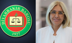 Diyarbakır Barosu’ndan Bengi Başer hakkında suç duyurusu
