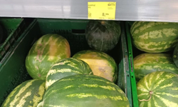 Karpuz tarlada 2, markette 8,5 TL