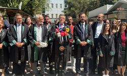 Güleç: “Kürt sorunun çözümü, yeni bir anayasa ile mümkün"