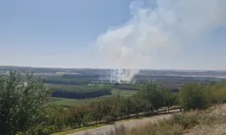 Hevsel Bahçeleri'nde anız yangını korkuttu