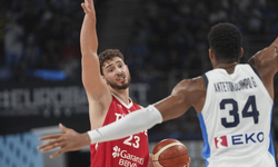 Antetokounmpo ve Alperen Şengün özür diledi