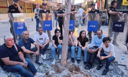 Kayyım atanan Batman Belediyesi ağaçları kesiyor