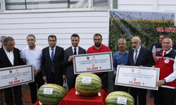 Diyarbakır’da 20 yıllık karpuz şampiyonu, 600 gram farkla zirveden indi