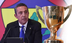 Ali Koç’un Fenerbahçe'si: 7 yıl, bir kupa