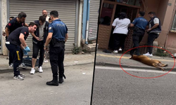 Kavga ihbarına gelen bir polisi ısırdı, diğerini köpeğine ısırttı!