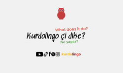 Kürtçe öğrenme platformu Kurdolingo yayına başladı