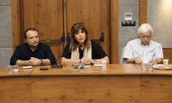"Öcalan denklem sundu, demokratik entegrasyon ya da devlet"