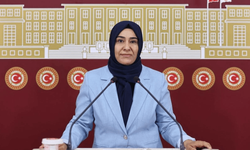 Rojin Kabaiş paylaşımlarına erişim engeli Meclis gündeminde