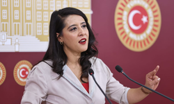 Sevda Karaca Bakanlığa sordu: Verileri neden gizliyorsunuz?