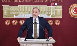 Temelli: Meclis, Geçmişin Hastalıklarından Arınmalı