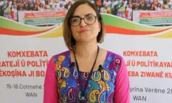 Cemile Turhallı: Kürtçenin resmi statüsü tanınmalı