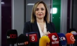 Ayşegül Doğan: “DEM Parti’ye yönelik linç organize bir plan”