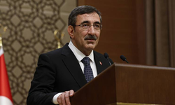 Cumhurbaşkanı Yardımcısı Yılmaz: TL’ye güven artıyor