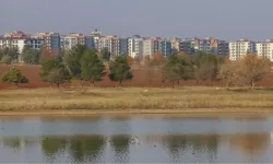 Kuş Cenneti Betonla Kuşatılıyor: Kabaklı Göleti Tehlikede